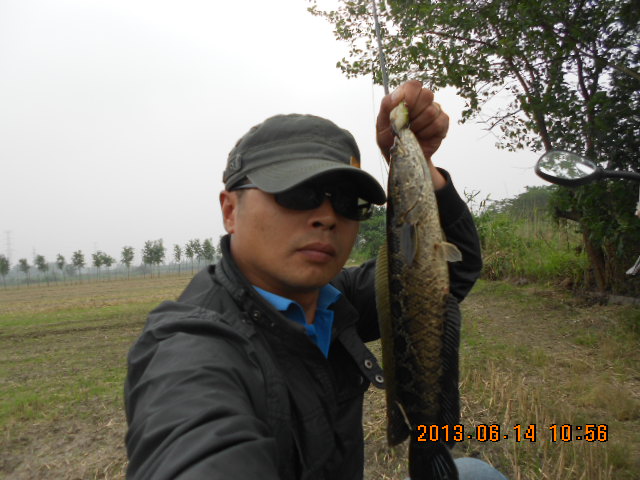 Ƭ 083.jpg