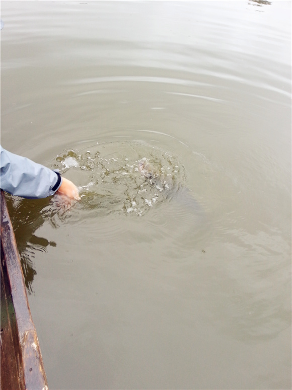 20130610_110845.jpg
