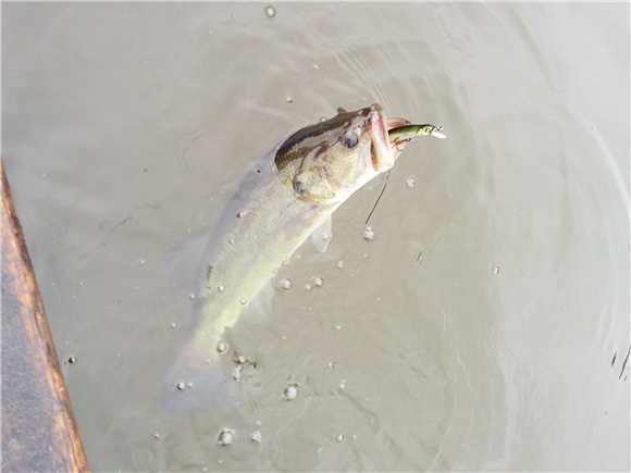 20130610_111116.jpg