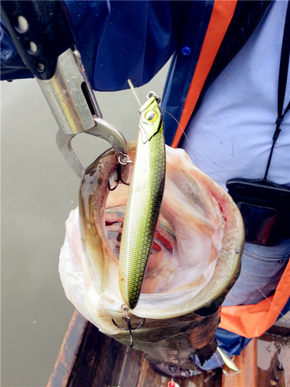 20130610_111205.jpg