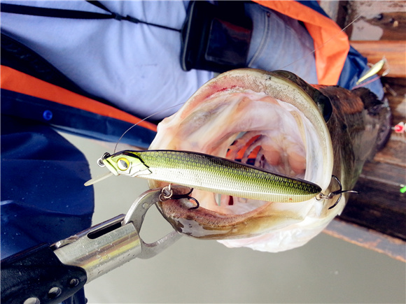 20130610_111206.jpg