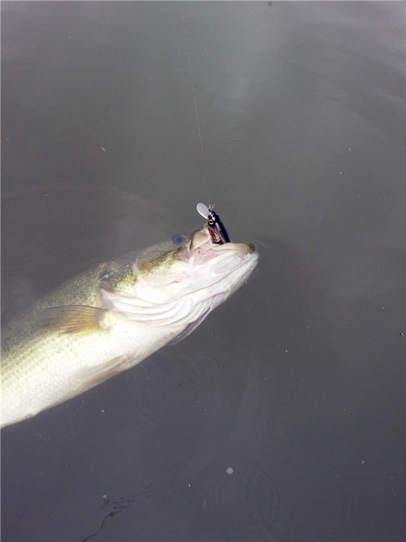 20130610_110541.jpg