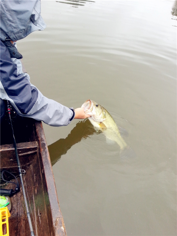20130610_110841.jpg