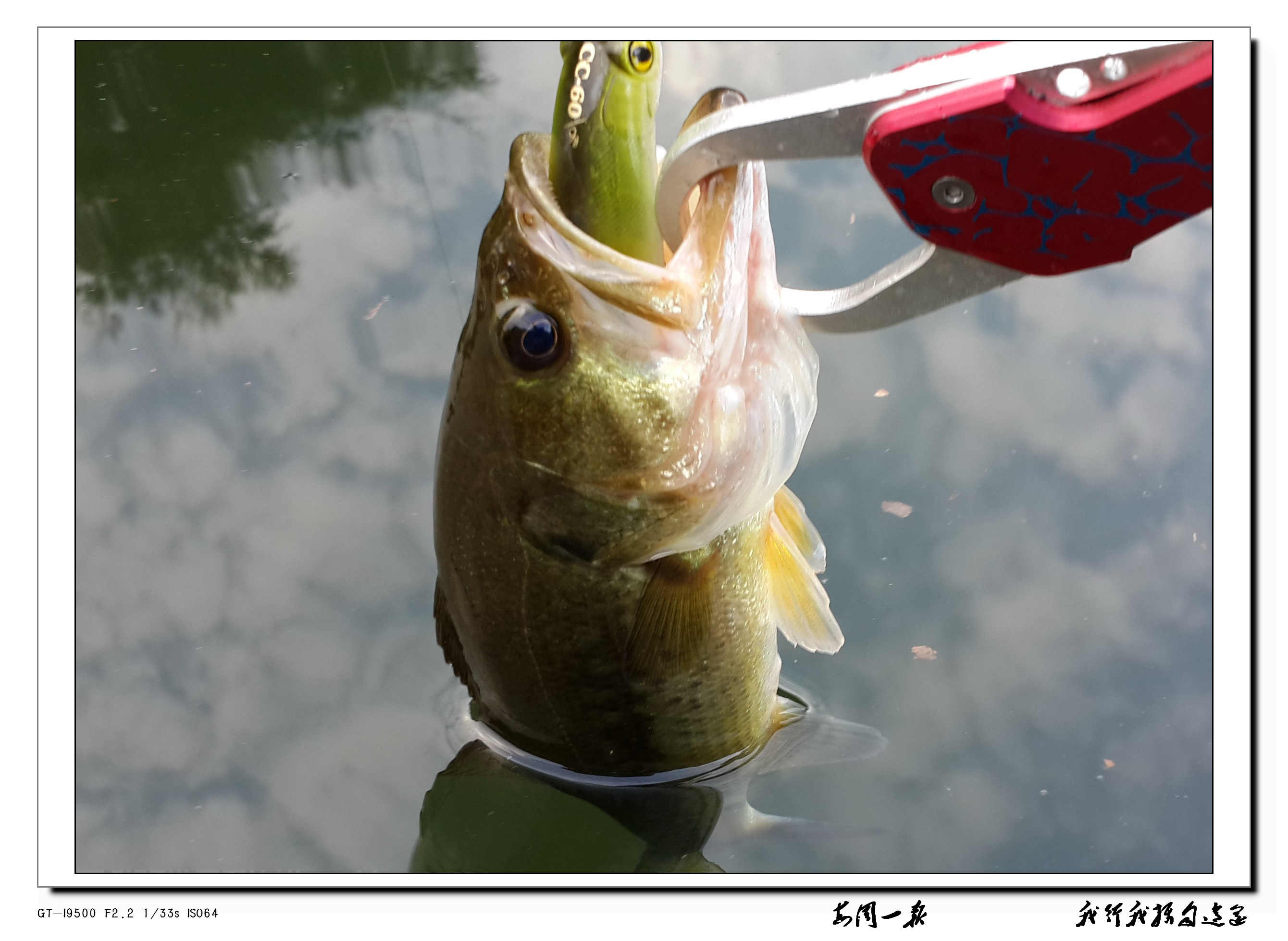 20130630_073343.jpg