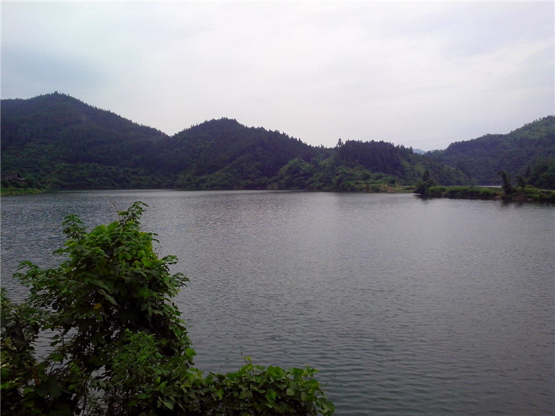IMG_20130707_131603_.jpg