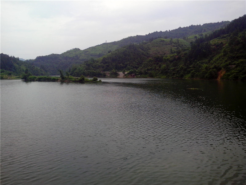 IMG_20130707_131608_.jpg