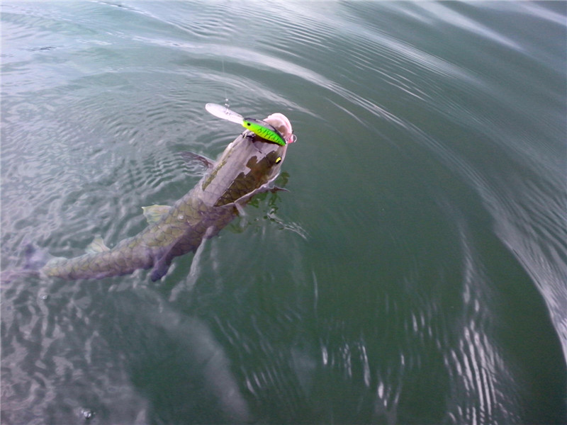 IMG_20130707_145947_.jpg