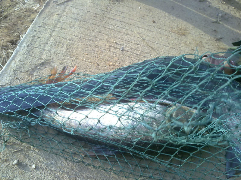 20130706058.jpg
