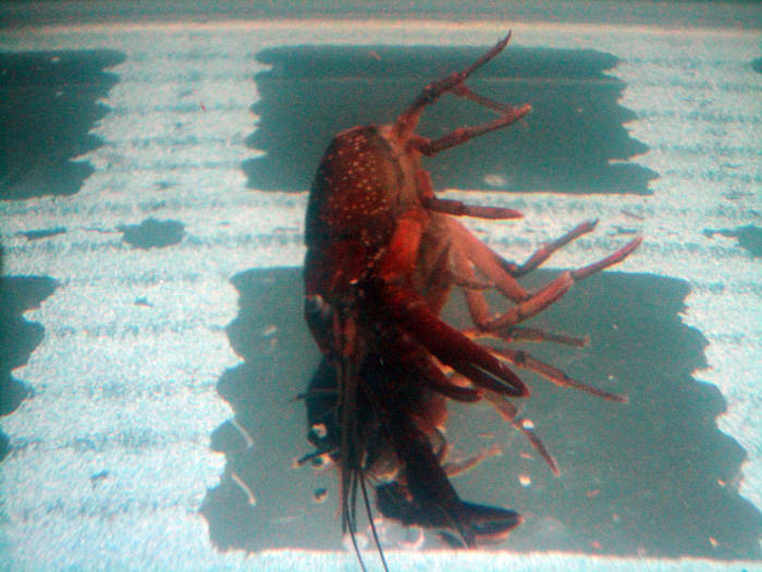 DSC07511.jpg