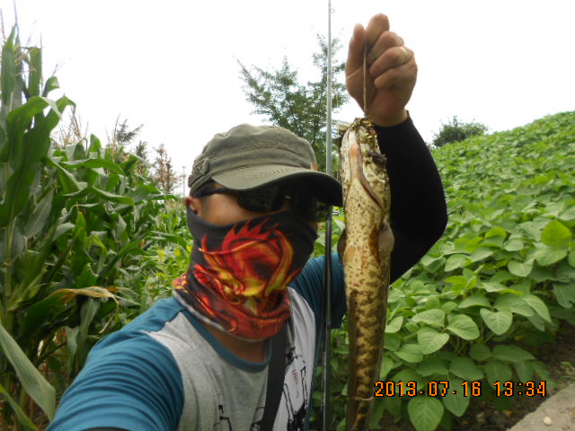 Ƭ 095.jpg