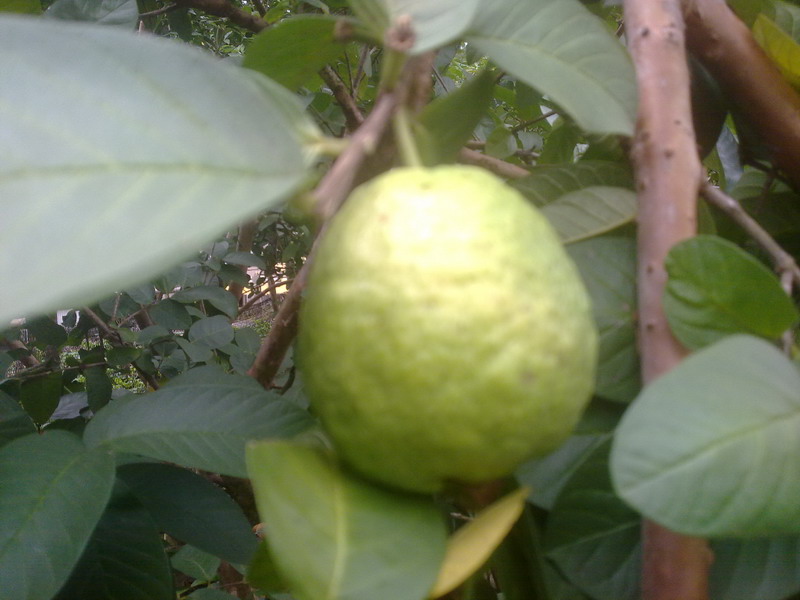 20130802129.jpg