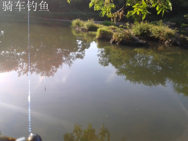 20130728_072907.jpg