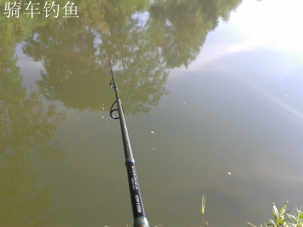 20130728_080214.jpg