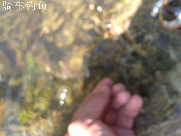 20130728_085527.jpg