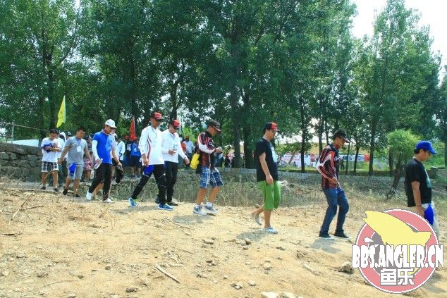 110654bzqyn3q6xc3x8fqf.jpg