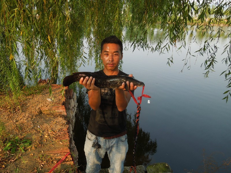 QQͼƬ20130816162206.jpg