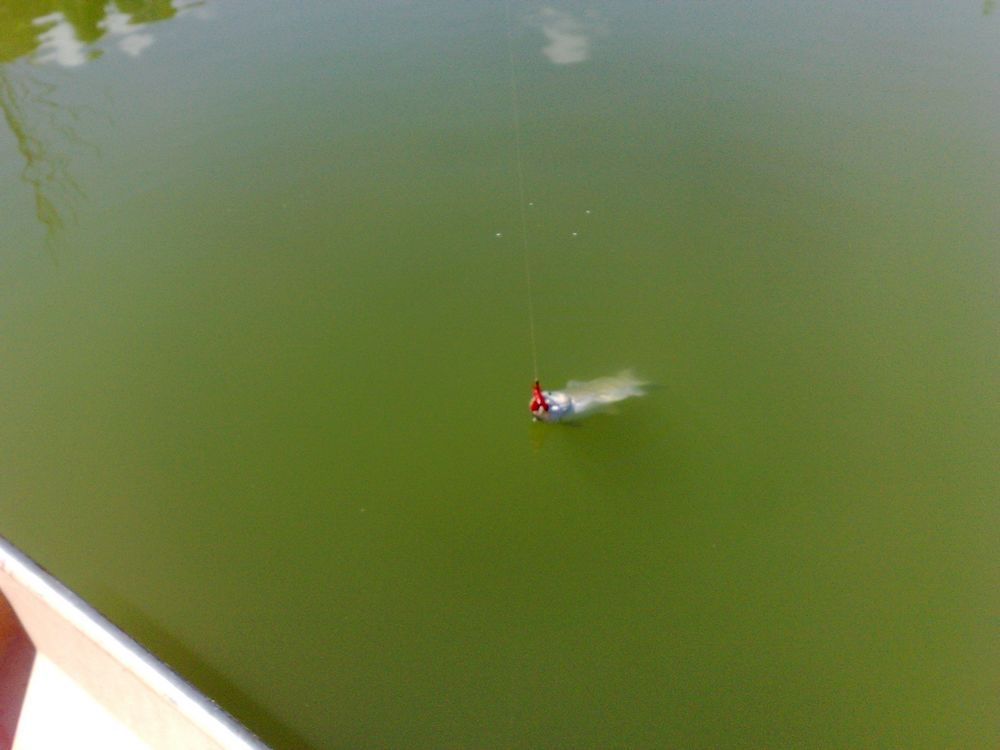 20130811063.jpg