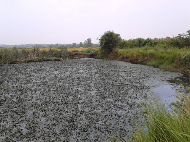 20130831_112638.jpg
