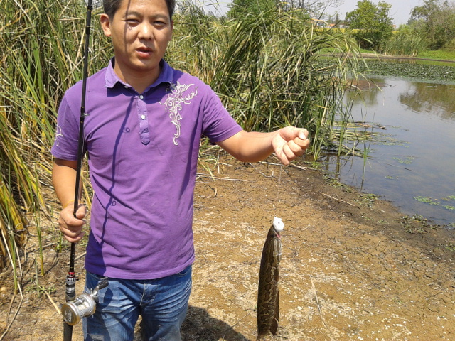20130901_111335.jpg