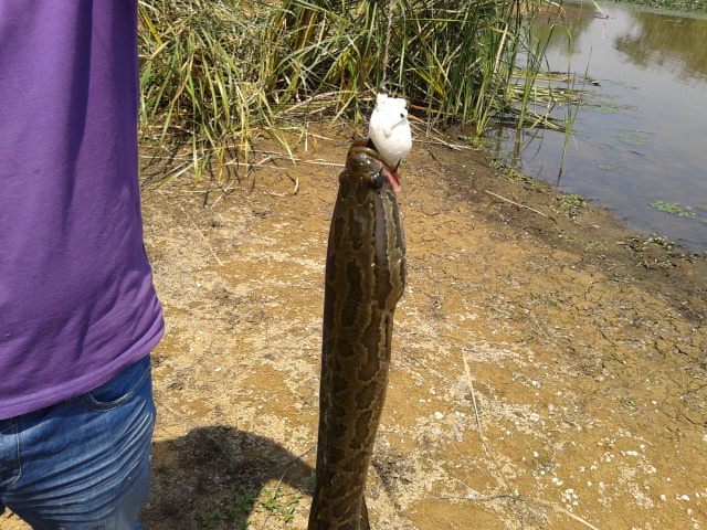 20130901_111339.jpg