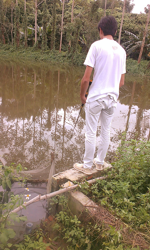 IMAG1806_.jpg