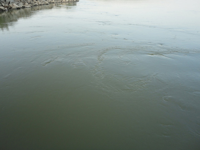 DSC07799.jpg