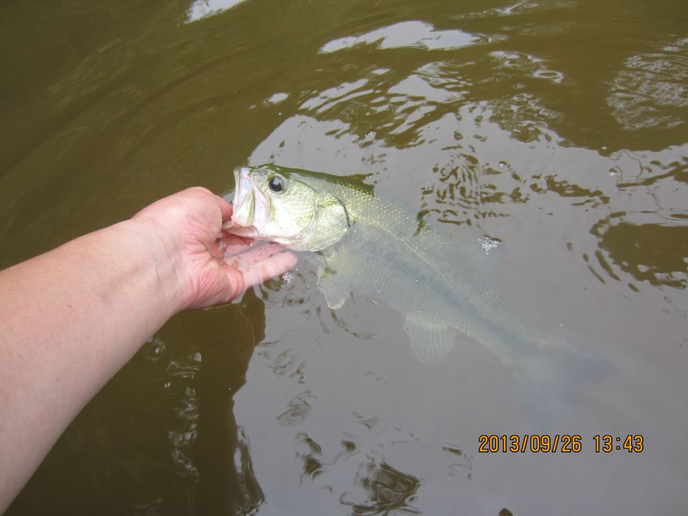 IMG_1622.JPG