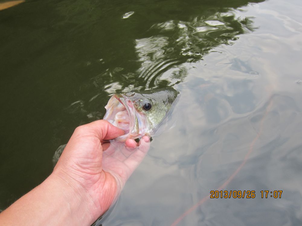 IMG_1732.JPG