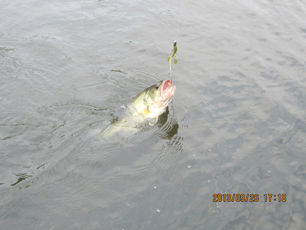IMG_1753.JPG