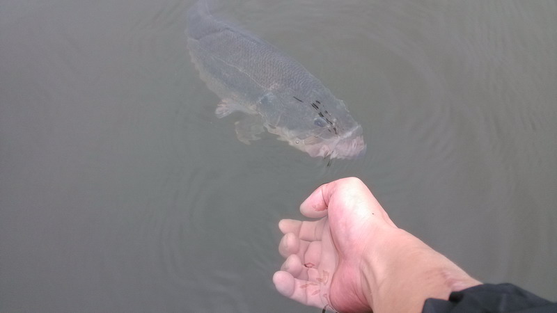 IMG_20130926_115842.jpg