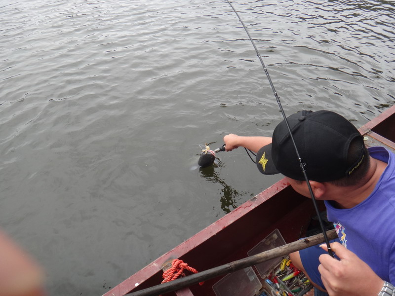 DSC01439_С.JPG