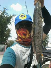 psb[12].jpg