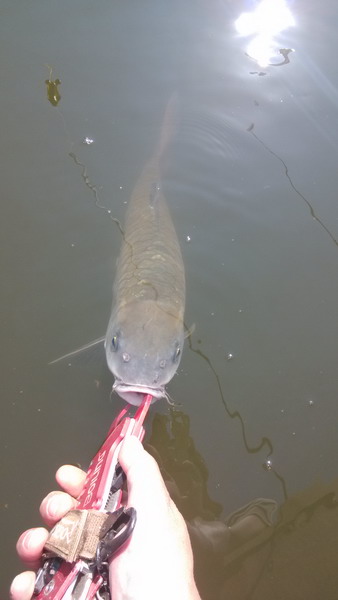 IMG_20131006_101033.jpg