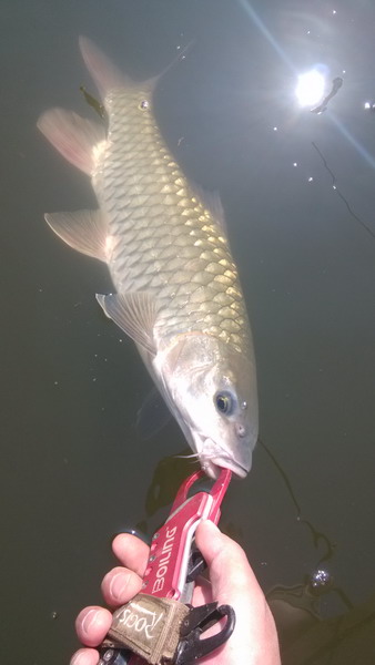 IMG_20131006_101037.jpg