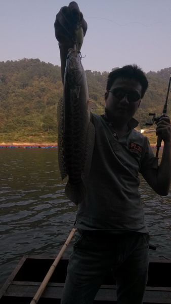 IMG_20131006_161745.jpg