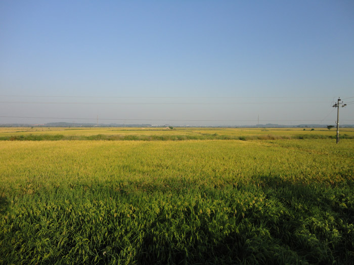 DSC07963.jpg