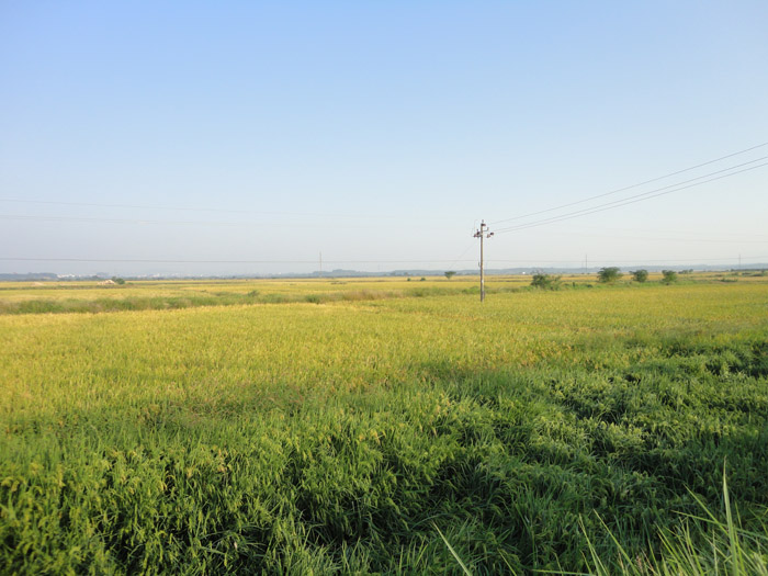 DSC07965.jpg