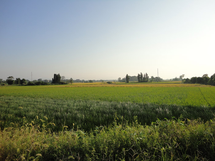 DSC07967.jpg