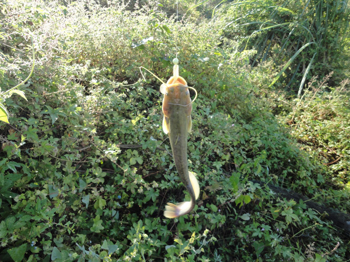 DSC07975.jpg
