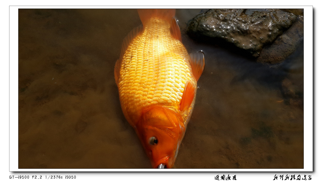 20131020_135455.jpg