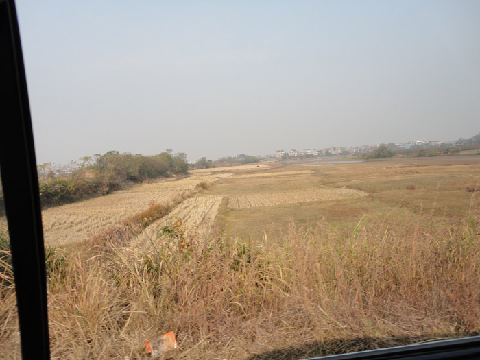 DSC08228.jpg