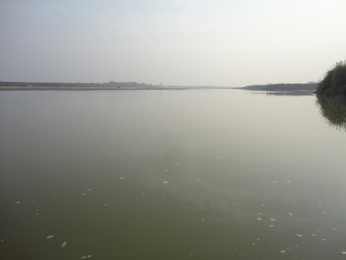 DSC08250.jpg