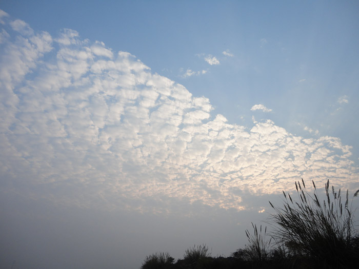 DSC08270.jpg