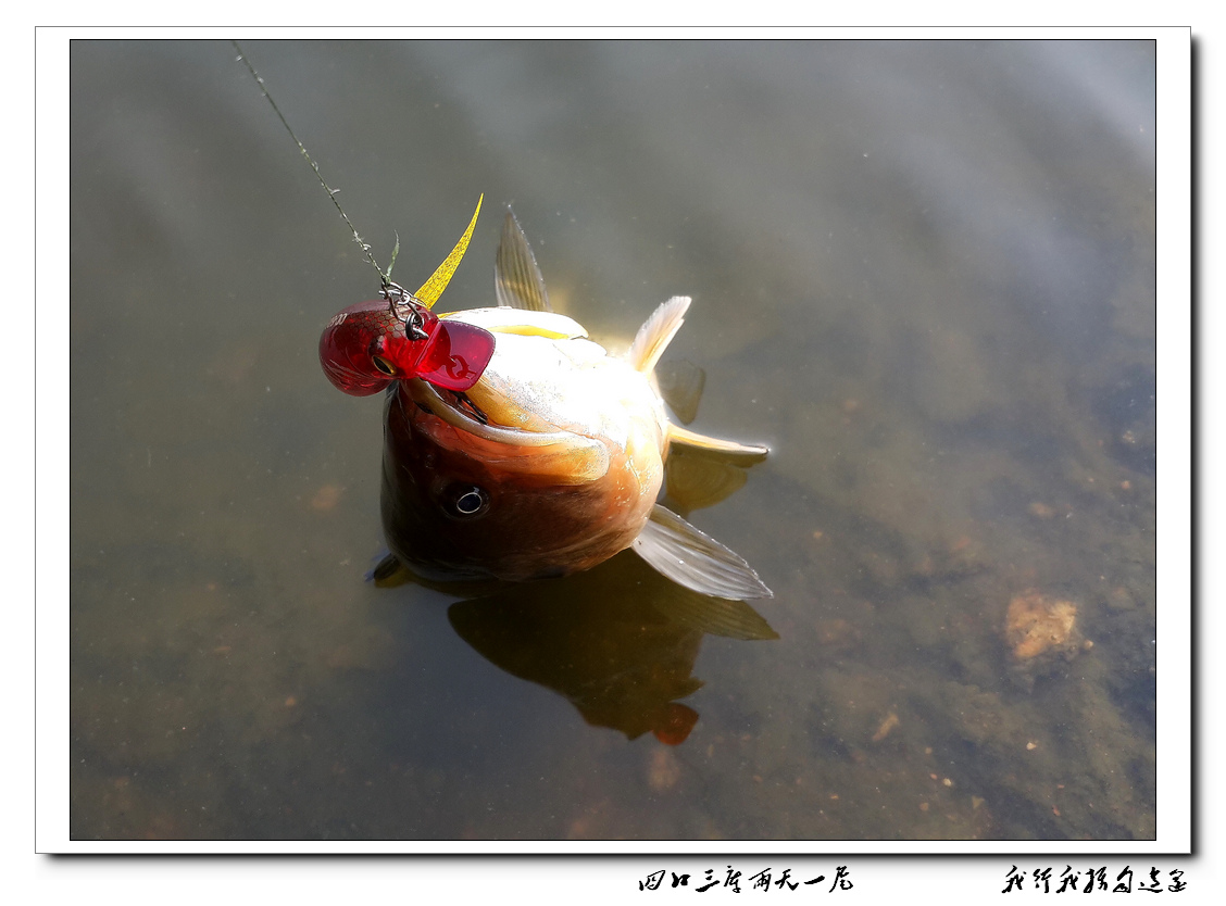 20131207_092802.jpg