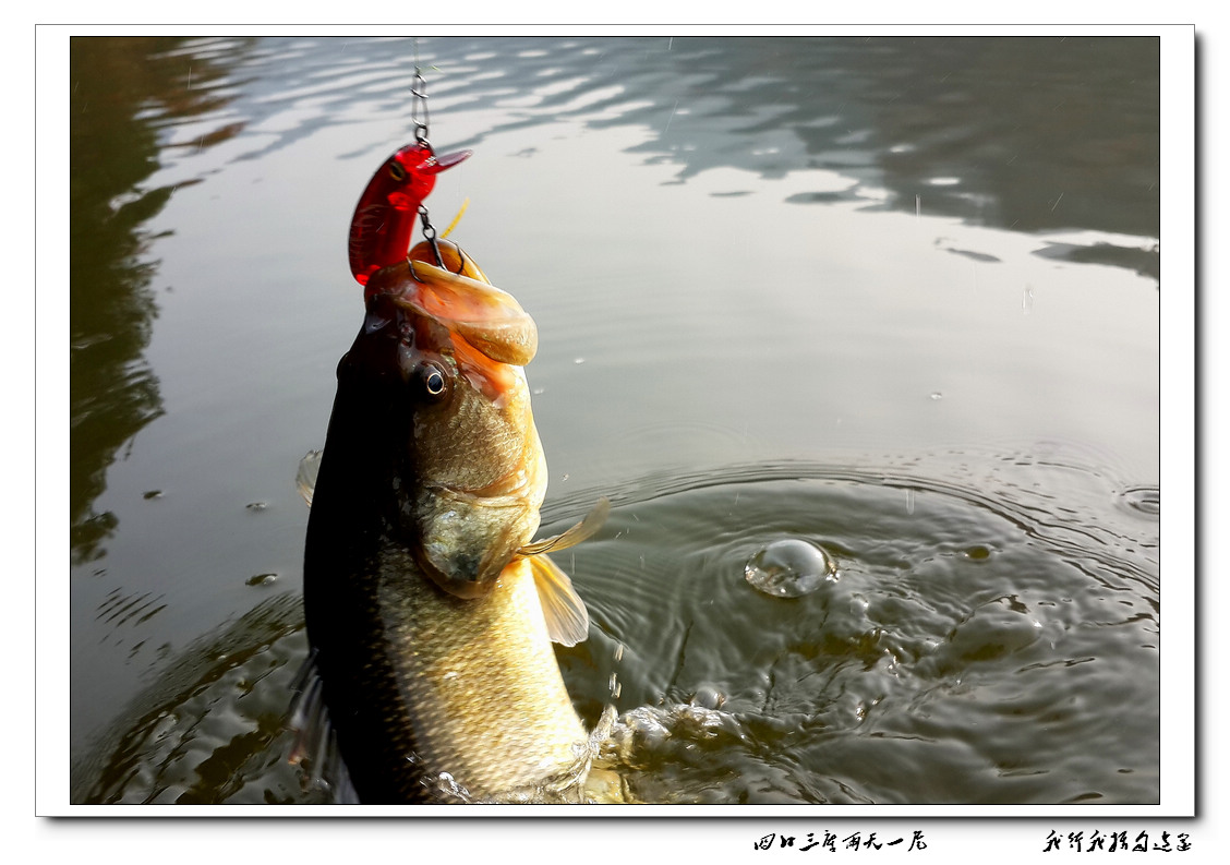 20131207_092834.jpg