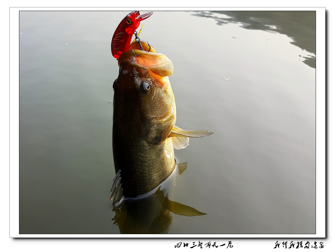 20131207_092845.jpg