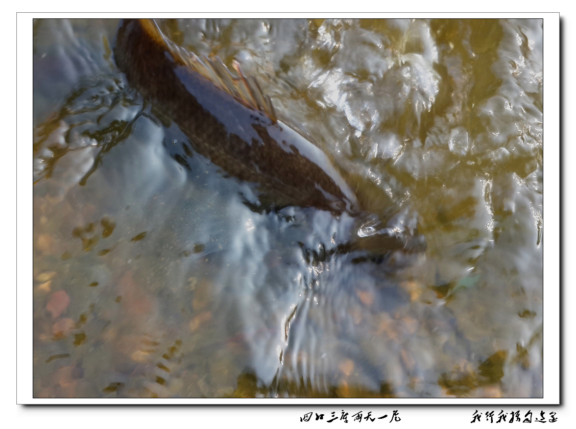 20131207_093458.jpg