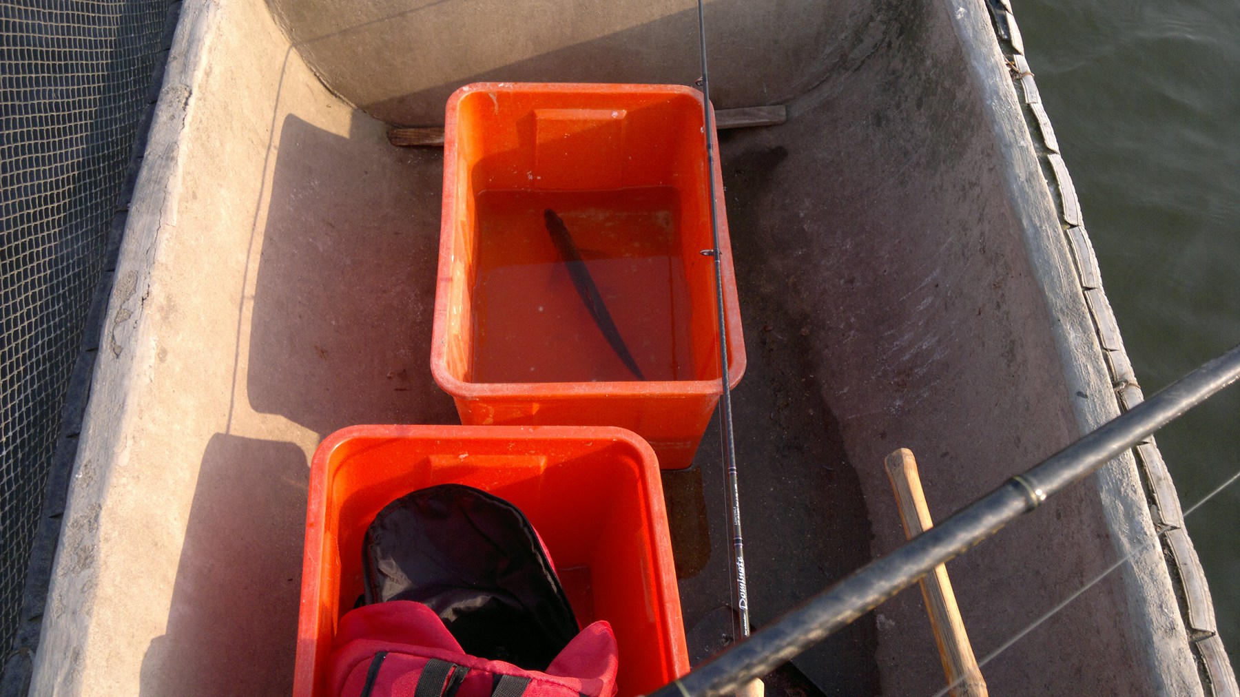 2013-12-29-308.jpg