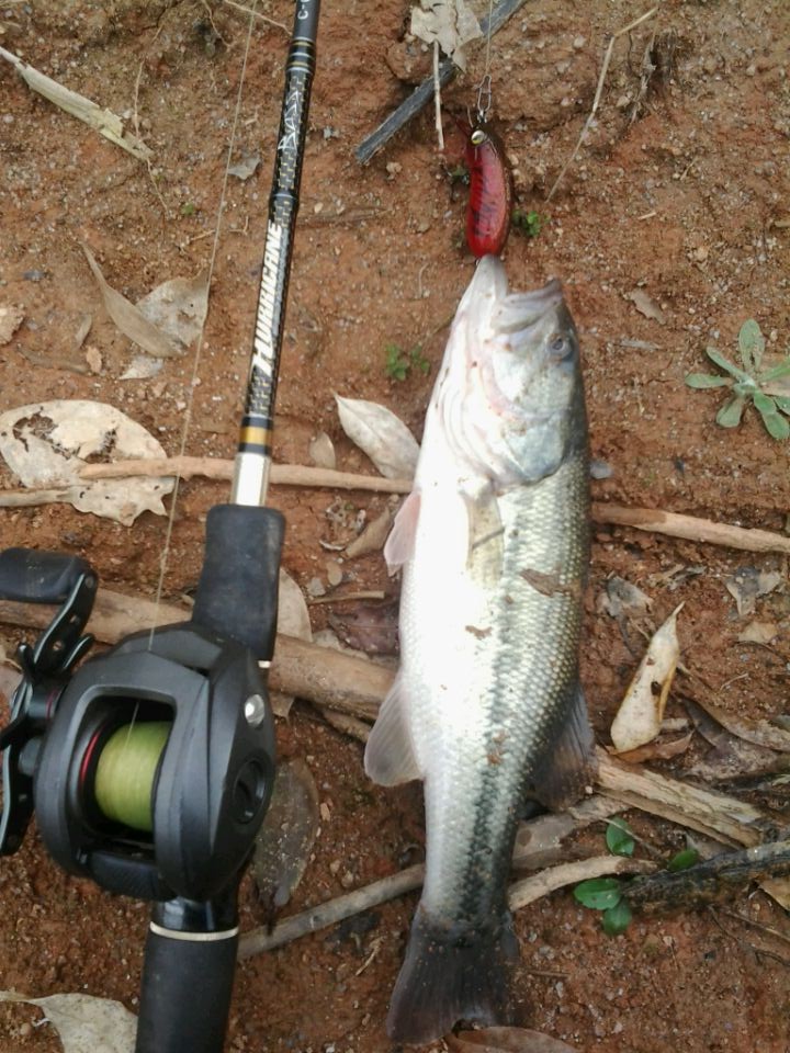 QQͼƬ20140225105154.jpg