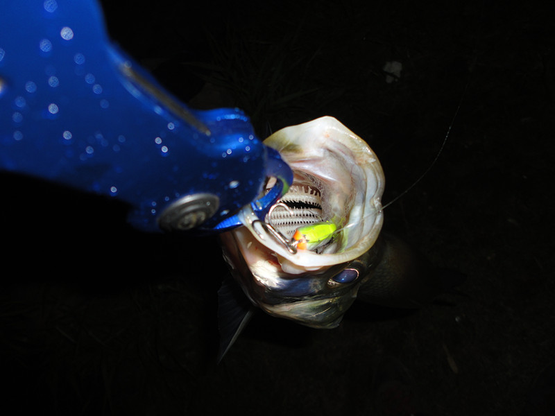 DSC01153_.jpg